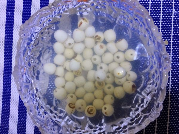 雪耳莲子红枣羹