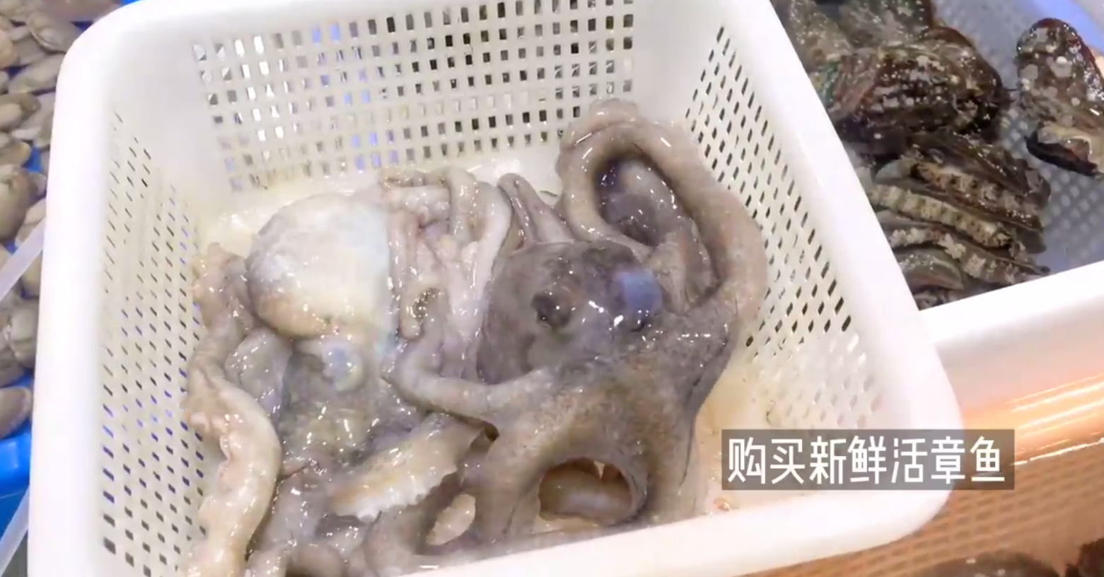 如何制作日式章鱼小丸子