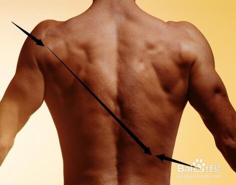 跑酷技巧：怎么才能练好滚翻|如何正确滚翻泄力