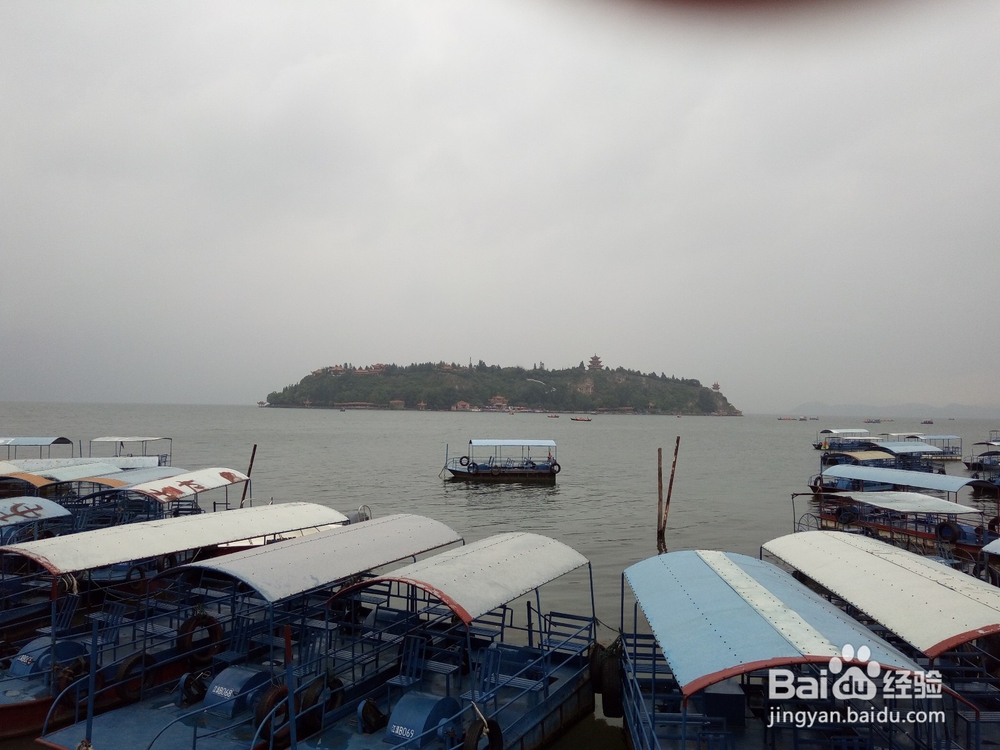 云南最美玉溪抚仙湖之樱花谷湿地公园情侣约会旅