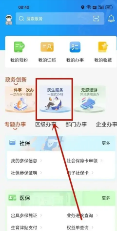 独生子女怎么在网上年审