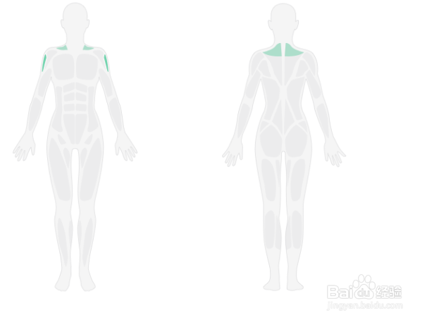 3D肩部轰炸训练