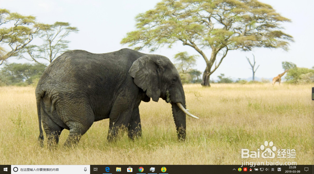 电脑黑屏只显示鼠标怎么办