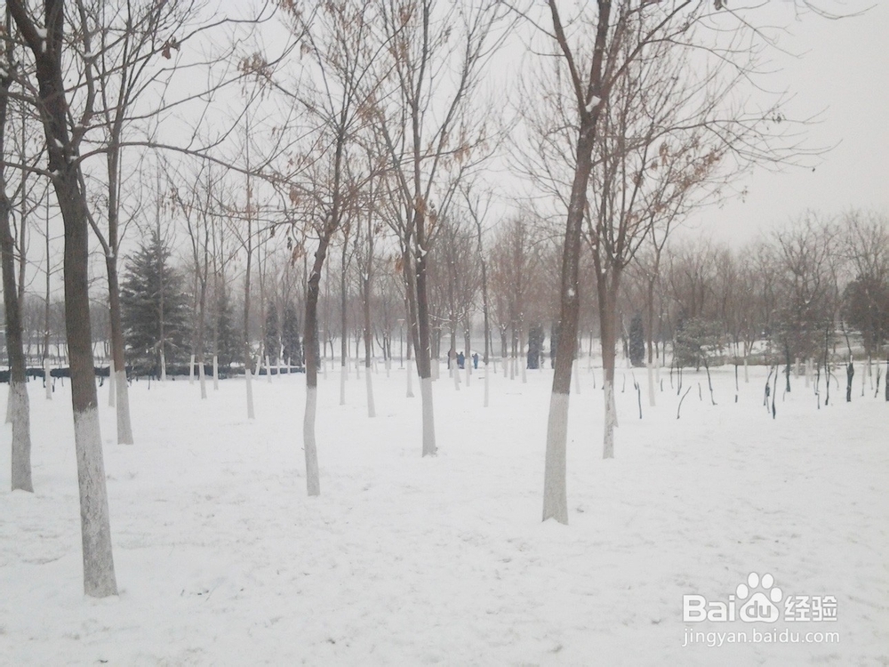 小学生如何写好作文