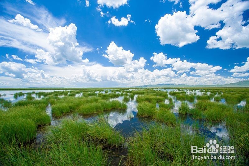 川西若尔盖花湖 川西7日摄影旅游 西北户外地接