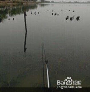 （四）水库垂钓技巧之钓位选择