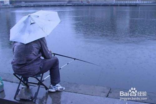 下雨天好钓鱼吗 下雨对钓鱼有什么影响 百度经验