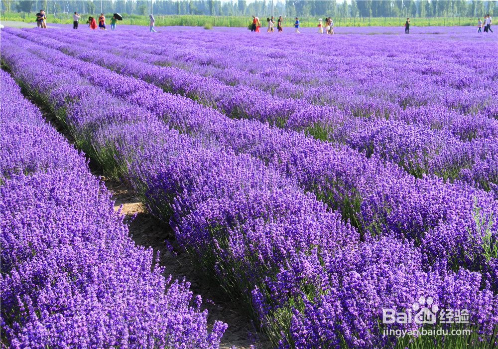 怎么从男性喜欢的颜色了解他的生活态度