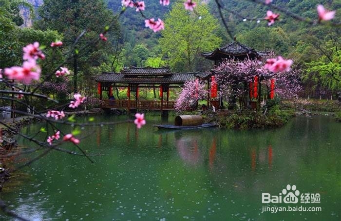 酉阳桃花源景点简述
