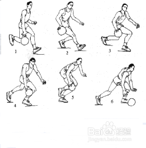 怎样学习打篮球?