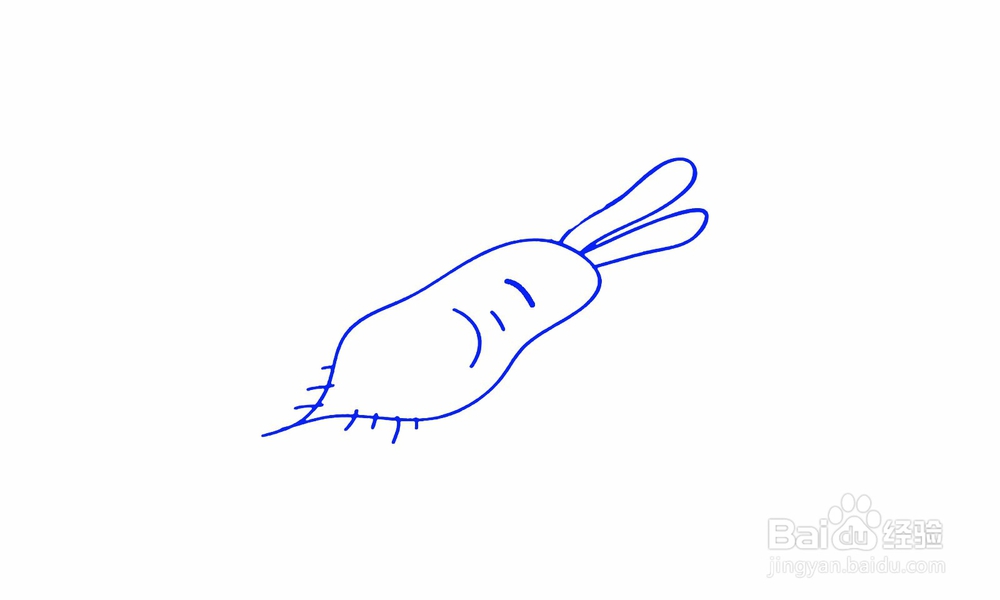 简笔画萝卜怎么画？