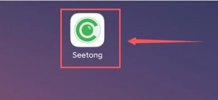 Seetong怎么启用报警声音