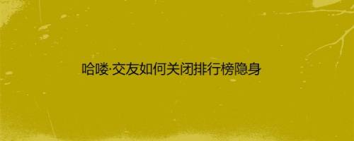 哈喽·交友如何关闭排行榜隐身