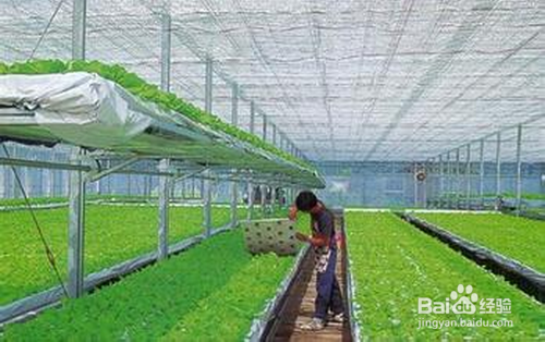 2016年投资机会详解(创业需提前布局)