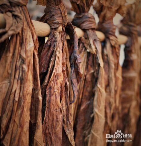 cpa税法中烟叶税学习攻略