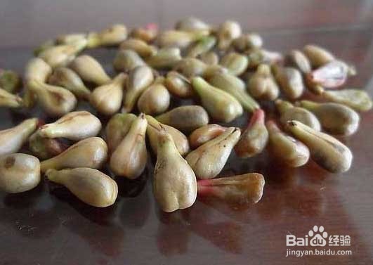 葡萄籽粉的功效与作用及食用方法