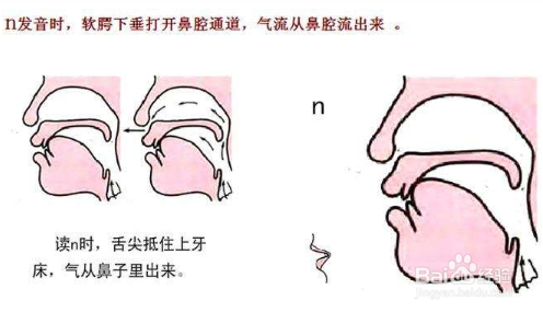 鼻音和边音的拼音怎么区分?