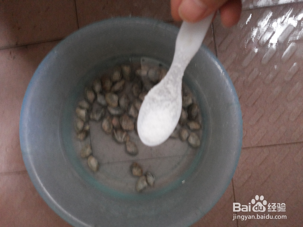 香葱蒜蓉炒蛤蜊