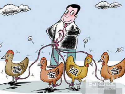 如何挑选一只有潜力的新基金?赶紧看过来!