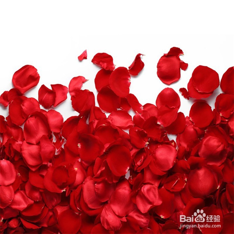 爽肤水、纯露和花水有啥区别?