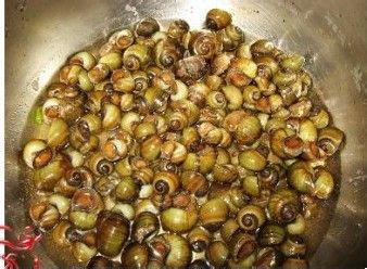 人人都需要田螺姑娘----香辣田螺