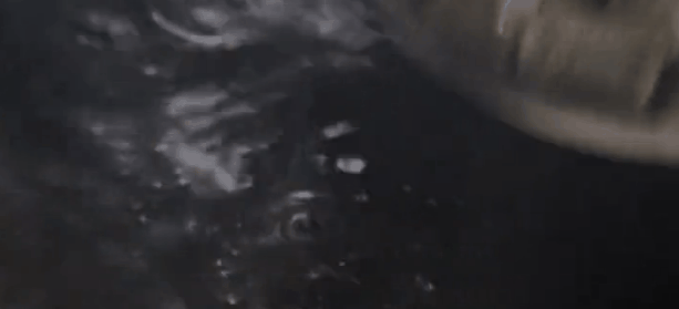 【养生食谱大全】正宗的糖醋排骨做法