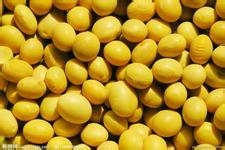 什么食物能让你越吃越健康，越吃越年轻