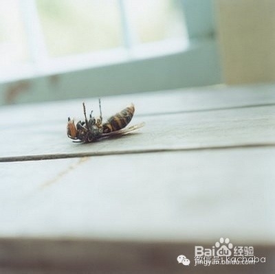 手机摄影后期应用：[25]vsco山寨日系淡彩