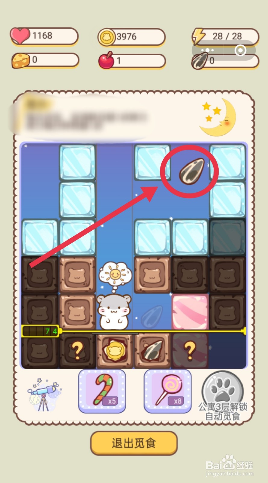 仓鼠公寓如何觅食到仓鼠吃的“瓜子”