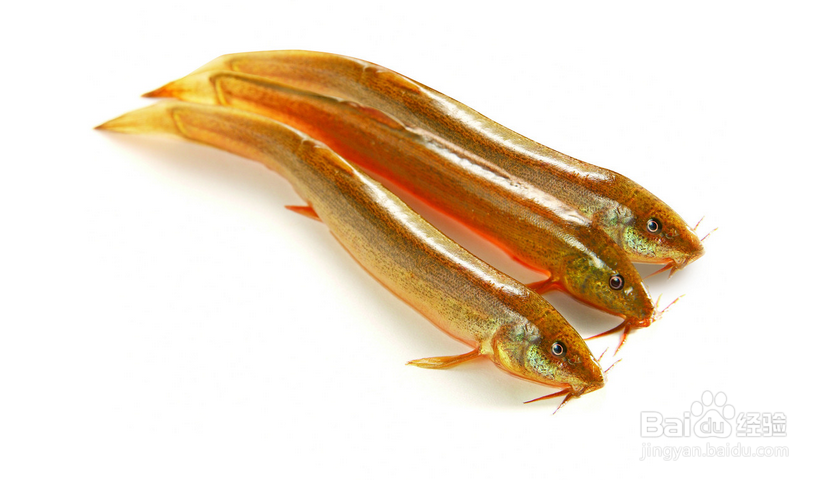 男人性健康最需吃哪几种肉食