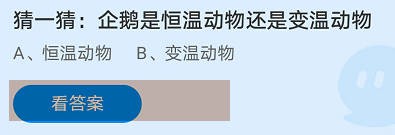 猜一猜:企鹅是恒温动物还是变温动物蚂蚁庄园