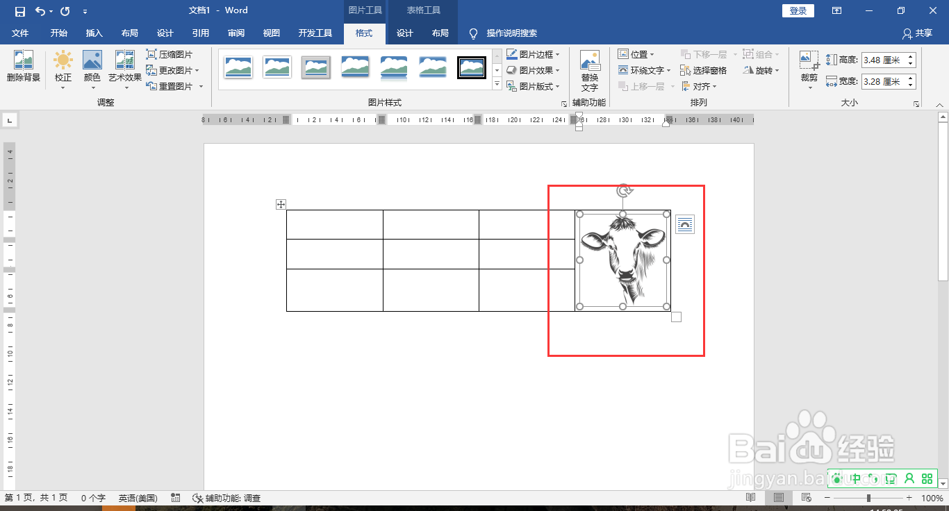 Word表格插入图片不变形