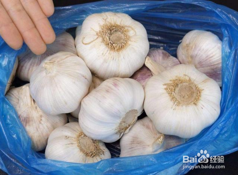 如何保存大蒜头不发芽