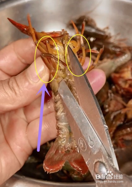 如何宰杀龙虾