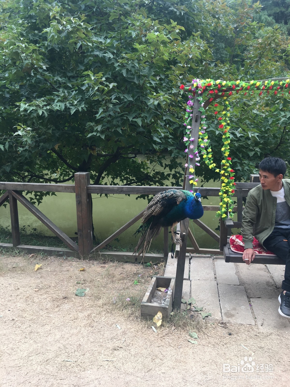 工作压力太大如何调节