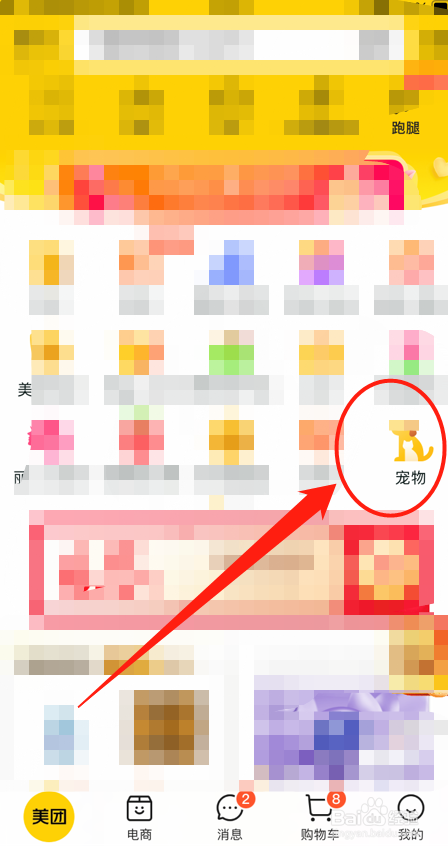 猫咪耳朵流血了怎么办