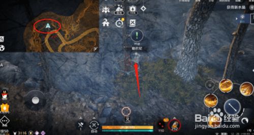 黑色沙漠手游村庄服装任务攻略