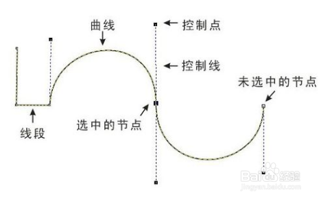 PS钢笔工具怎么使用？