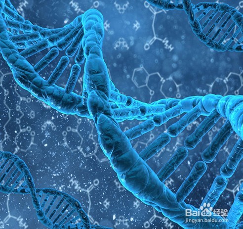 如何减肥健康不反弹