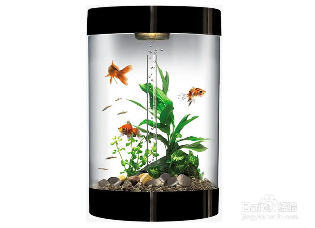 塑料鱼缸模糊了怎么办