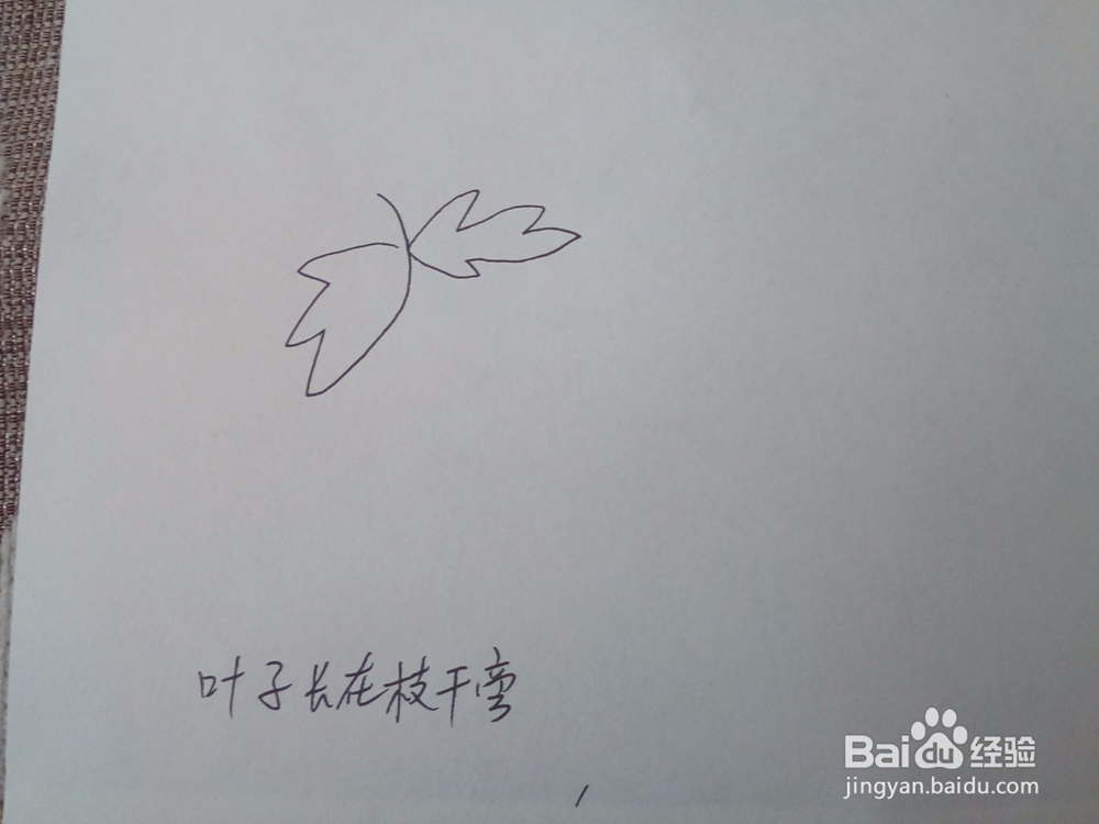 吃上一口甜如蜜的大葡萄 15