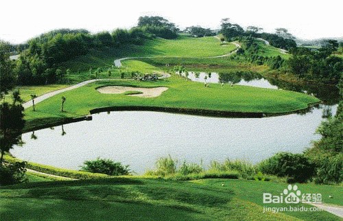 怎么提高身体免疫力?