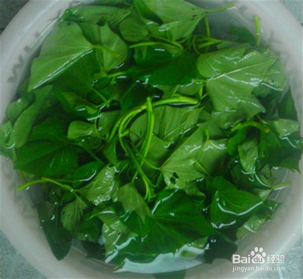 【解毒养颜】蒜蓉炒红薯叶