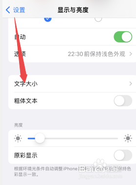 苹果手机怎么设置字体大小