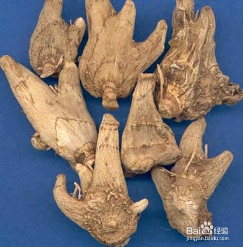 中医国粹精华美白