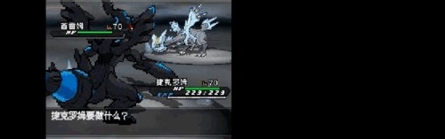 口袋妖怪黑白2攻略