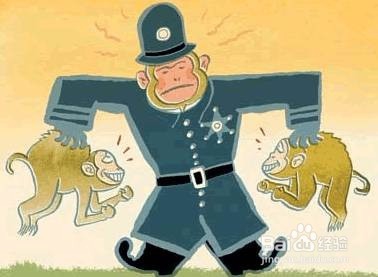 monkey知识大放送—柠檬班出品