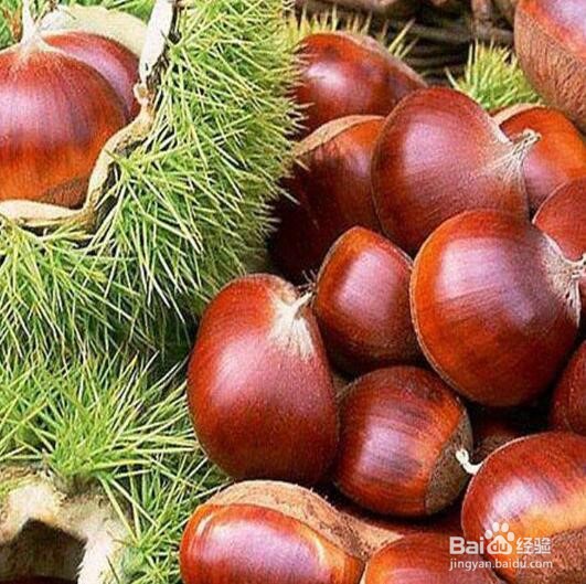 泸定有什么特色好吃的