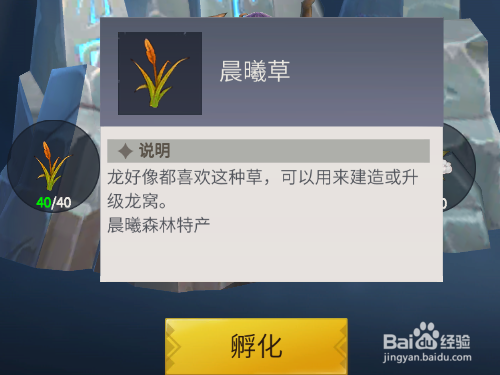 冰原守卫者如何孵化黑暗龙