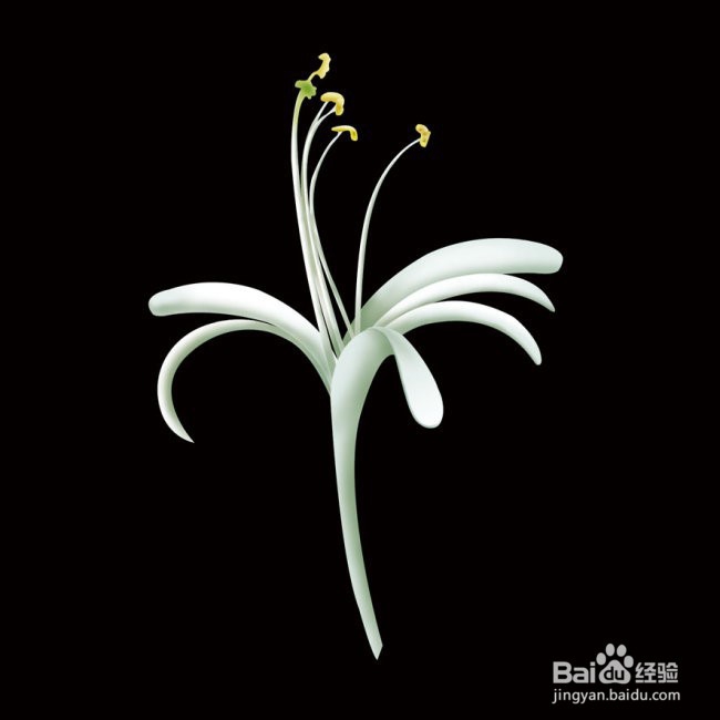 金银花怎么种